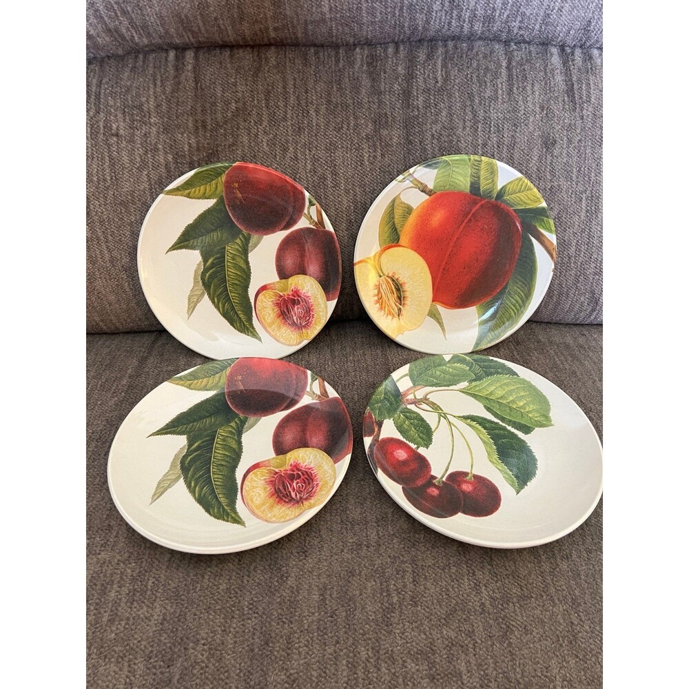 Set of 4 Williams-Sonoma Botanical Fruit Melamine Salad Plates 8”